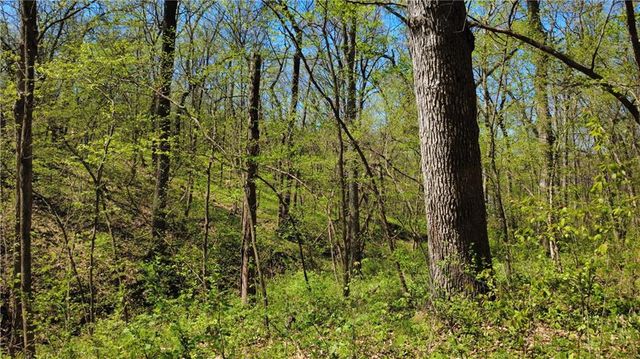 5050 SW O Highway, Trimble, MO 64492