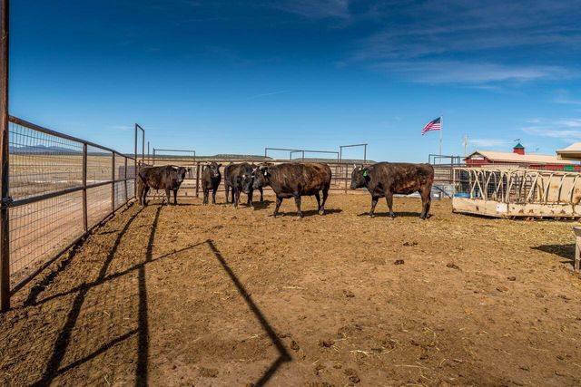 99 Pauline Road, Mcintosh, NM 87032