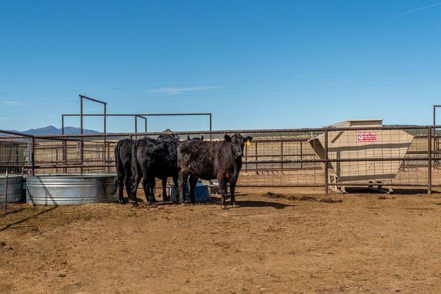 99 Pauline Road, Mcintosh, NM 87032