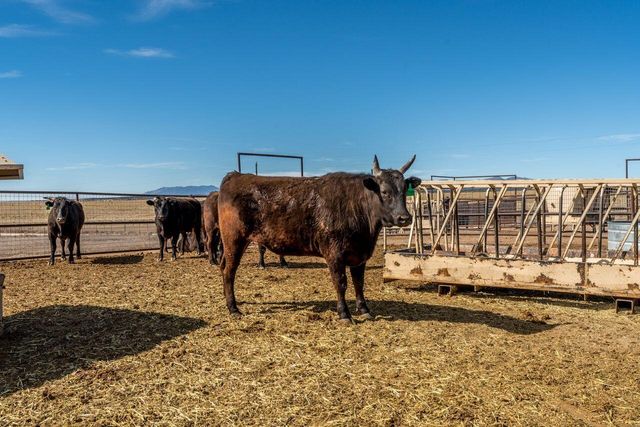 99 Pauline Road, Mcintosh, NM 87032