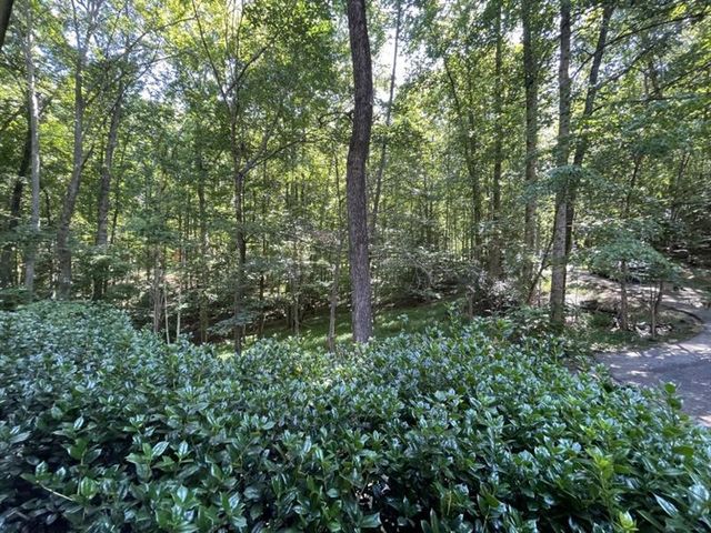 988 Rocktree Road, Dahlonega, GA 30533