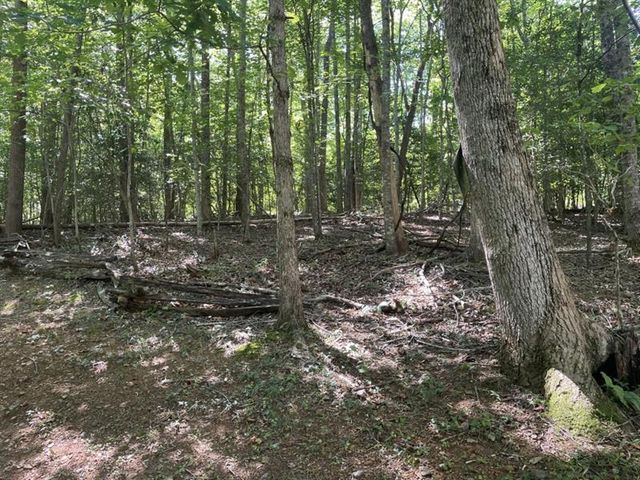 988 Rocktree Road, Dahlonega, GA 30533
