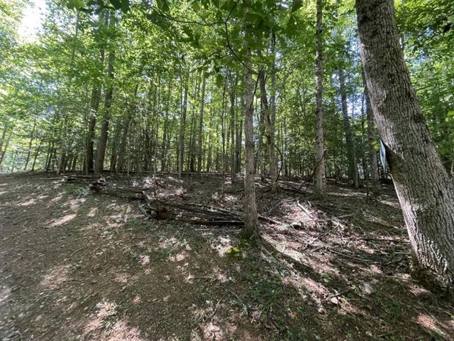 988 Rocktree Road, Dahlonega, GA 30533