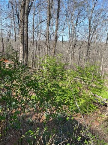 988 Rocktree Road, Dahlonega, GA 30533