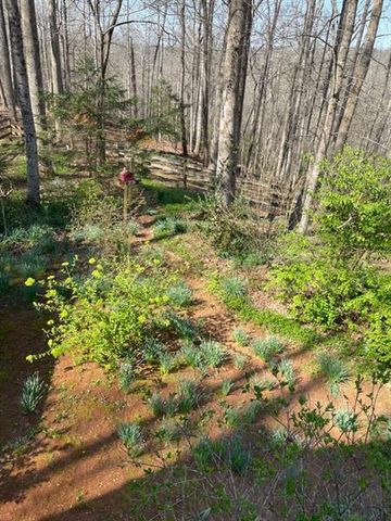 988 Rocktree Road, Dahlonega, GA 30533
