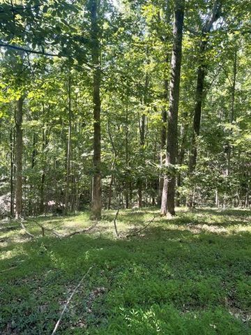 988 Rocktree Road, Dahlonega, GA 30533