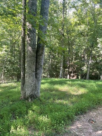 988 Rocktree Road, Dahlonega, GA 30533
