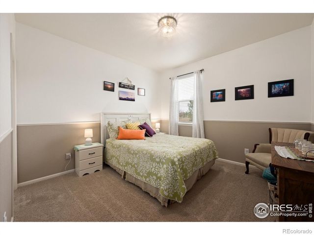 869 Charlton Drive, Windsor, CO 80550