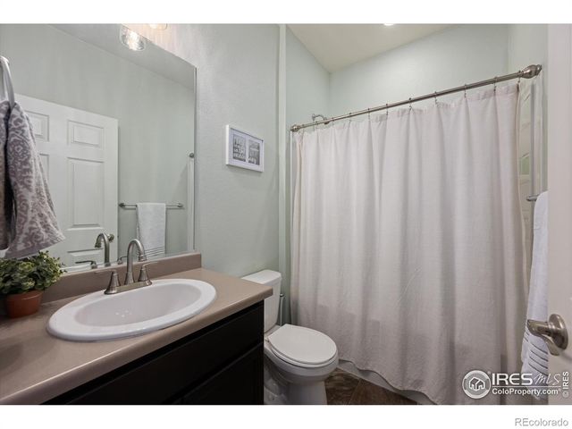 869 Charlton Drive, Windsor, CO 80550