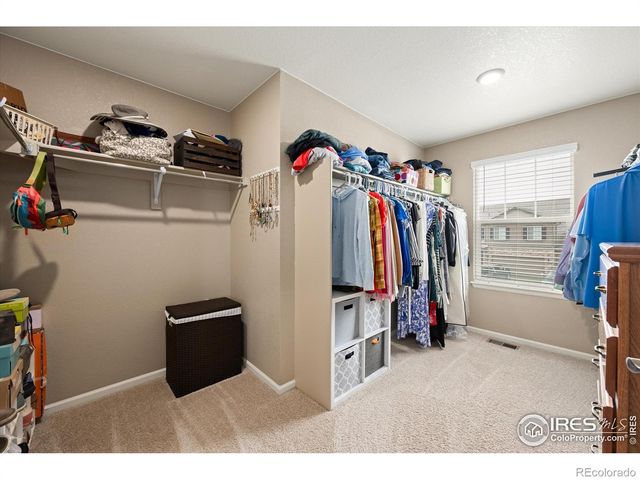 869 Charlton Drive, Windsor, CO 80550