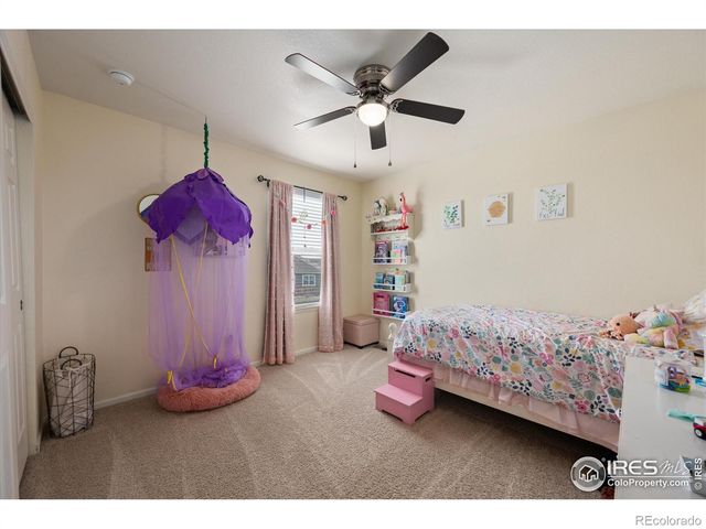 869 Charlton Drive, Windsor, CO 80550