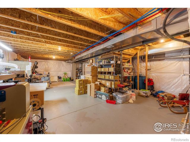 869 Charlton Drive, Windsor, CO 80550