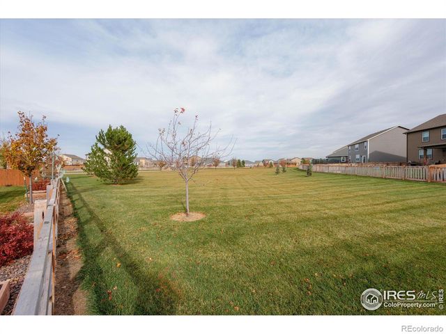 869 Charlton Drive, Windsor, CO 80550