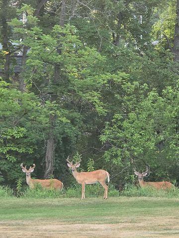 3965 N Big Spring Drive SW, Grandville, MI 49418