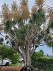 853 SW 3rd St, Florida City, FL 33034