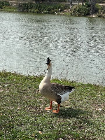 6104 Hidden Oaks 2, Corpus Christi, TX 78412