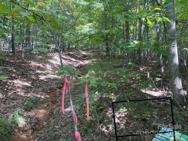 3913 High Peak Terrace, Valdese, NC 28690