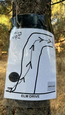 9502 Elm Drive, Descanso, CA 91916