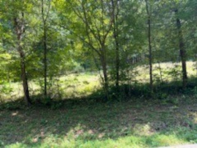 0 Shelter Branch Road, Charlotte, TN 37036