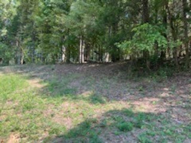 0 Shelter Branch Road, Charlotte, TN 37036