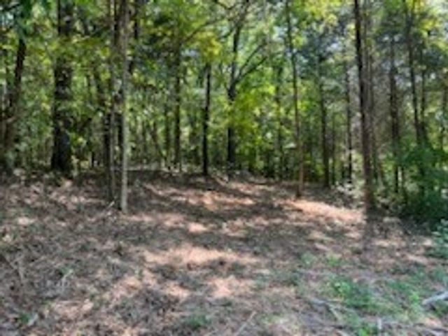 0 Shelter Branch Road, Charlotte, TN 37036