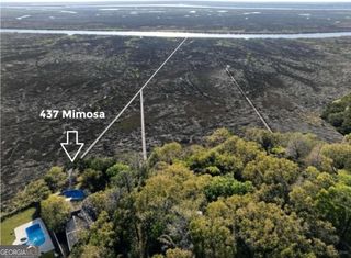437 Mimosa Drive, St. Simons, GA 31522