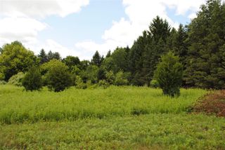 3173 Luna Drive, Dexter, MI 48130