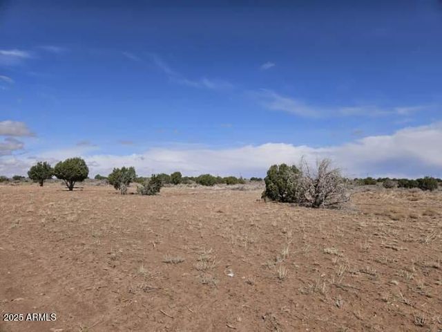 15 County Road 9079 -- 15, Concho, AZ 85924