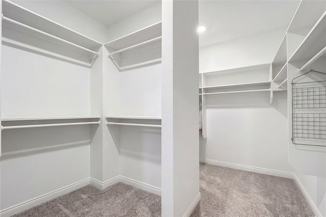 13222 MOSS GRASS WAY, Riverview, FL 33579