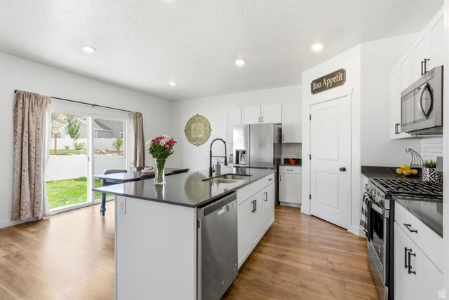 1209 S RED CLIFF DR, Santaquin, UT 84655