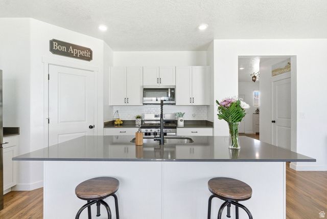 1209 S RED CLIFF DR, Santaquin, UT 84655