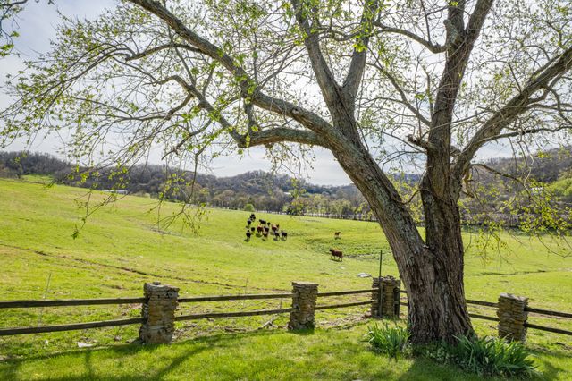 1839 Polly Adams Rd, Belfast, TN 37019