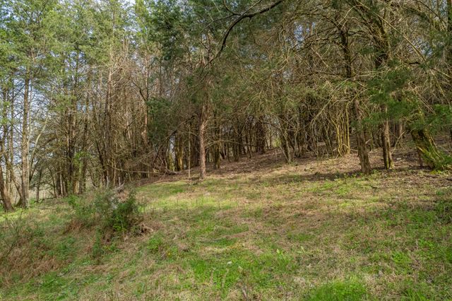 1839 Polly Adams Rd, Belfast, TN 37019