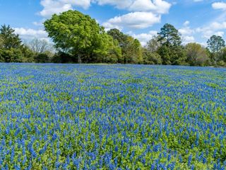 1255 County Road 260, Hallettsville, TX 77964