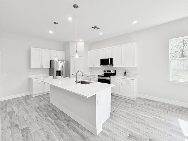 30280 W BLUEBELL AVENUE, Eustis, FL 32736