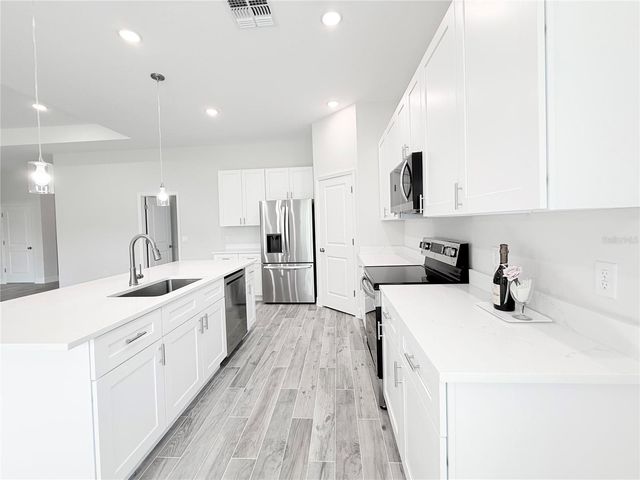 30280 W BLUEBELL AVENUE, Eustis, FL 32736