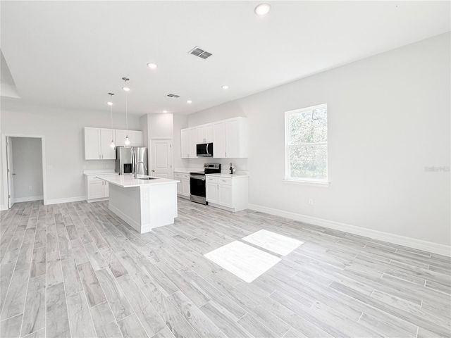 30280 W BLUEBELL AVENUE, Eustis, FL 32736