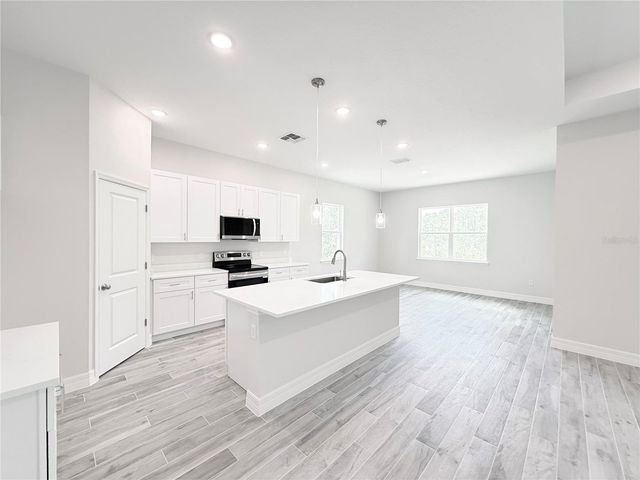 30280 W BLUEBELL AVENUE, Eustis, FL 32736