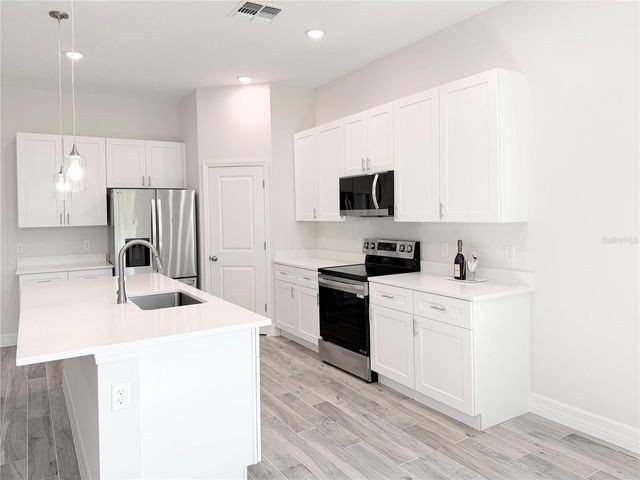 30280 W BLUEBELL AVENUE, Eustis, FL 32736