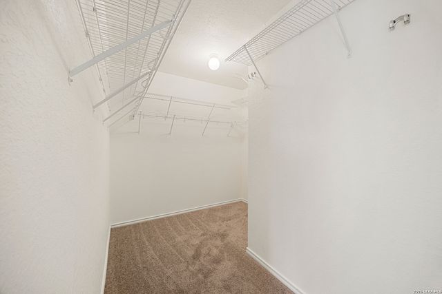 5415 Burgate Farm, San Antonio, TX 78228