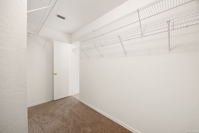 5415 Burgate Farm, San Antonio, TX 78228