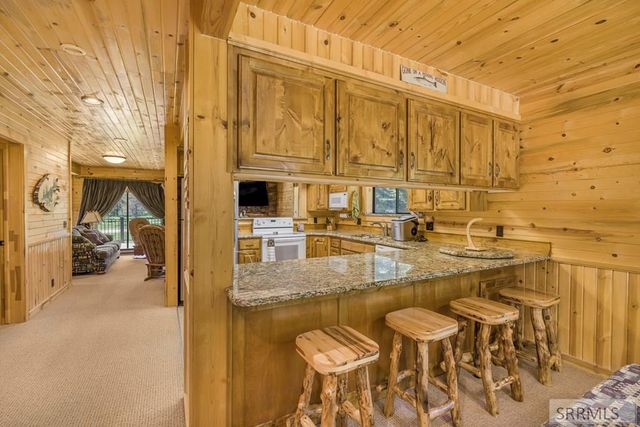 4001 Otter Trail, Island Park, ID 83429