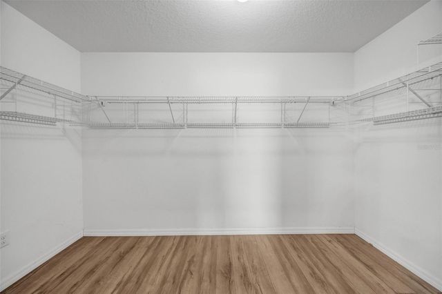 10532 STANDING STONE DRIVE, Wimauma, FL 33598