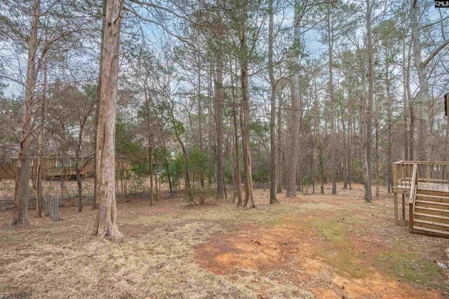 135 Firebranch Street, Columbia, SC 29212