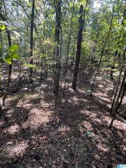 4190 BRILL DRIVE, Bessemer, AL 35022