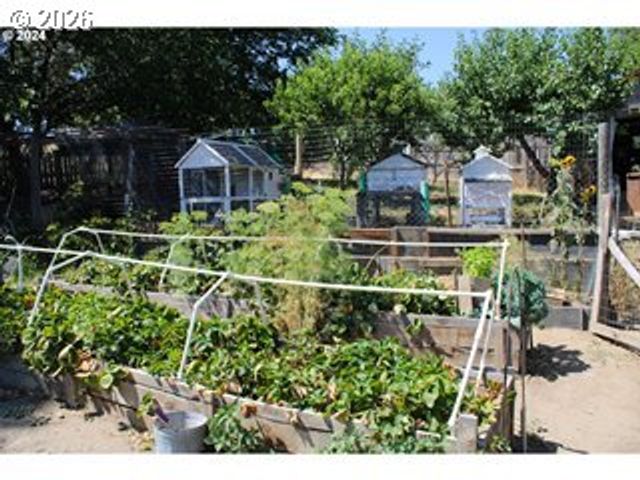 707 HARRISON St, Wasco, OR 97065