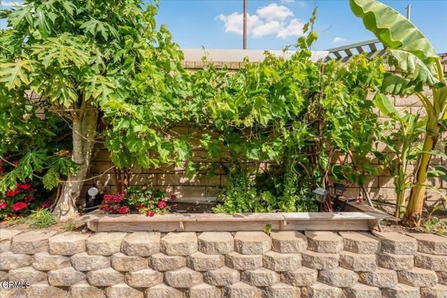 1129 1st Street, Fillmore, CA 93015