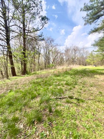 20467 N Greenville Road, White Plains, KY 42464