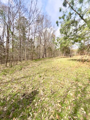 20467 N Greenville Road, White Plains, KY 42464