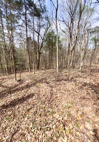 20467 N Greenville Road, White Plains, KY 42464